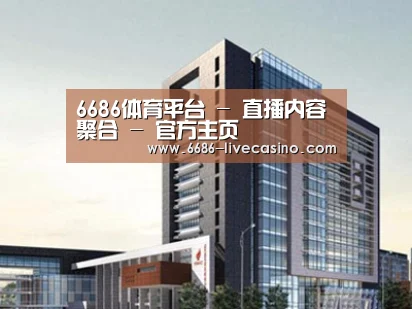 案例展示七