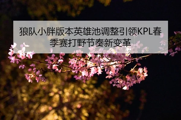 lang-dui-xiao-pang-ban-ben-ying-xiong-chi-tiao-zheng-yin-ling-chun-ji-sai-da-ye-jie-zou-xin-bian-ge-2-571.jpg