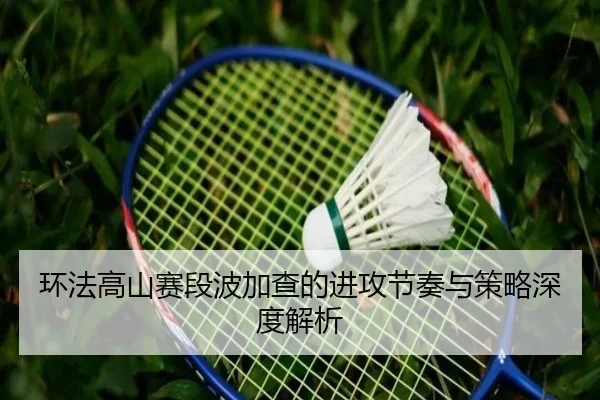 环法高山赛段波加查的进攻节奏与策略深度解析