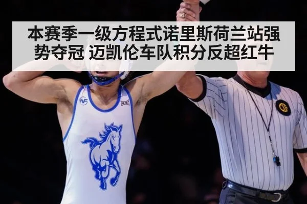 本赛季一级方程式诺里斯荷兰站强势夺冠 迈凯伦车队积分反超红牛