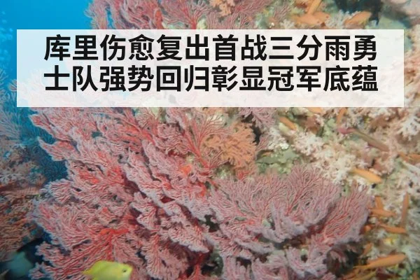 库里伤愈复出首战三分雨勇士队强势回归彰显冠军底蕴