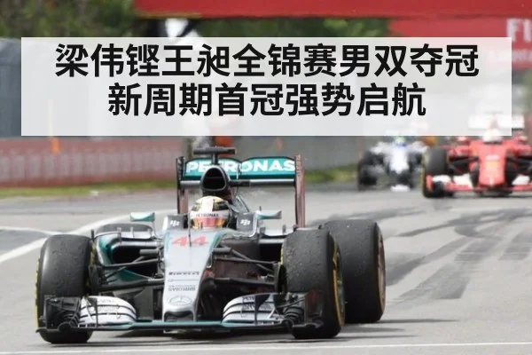 梁伟铿王昶全锦赛男双夺冠新周期首冠强势启航