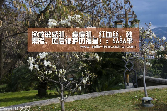 拯救敏感肌、痘痘肌、红血丝、激素脸、斑后修护的福星！：6686平台